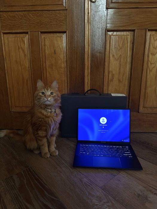 ASUS Zenbook UX3402ZA (14″ OLED, i5-1240P, 16/512)