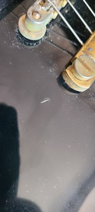 Burny RLC 100 Japan (Custom)