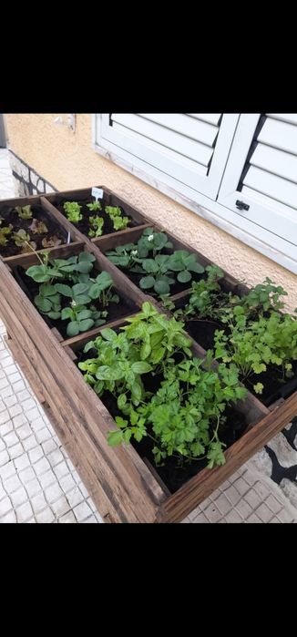 Horta Vertical ou Floreira madeira