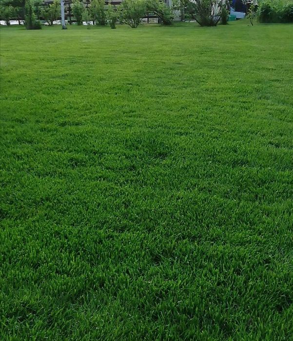 Ogrodnik Złota Rączka Koszenie Trawy Wertykulacja Pomoc w ogrodzie