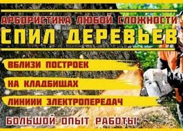 Профессиональный спил деревьев любой сложности.
