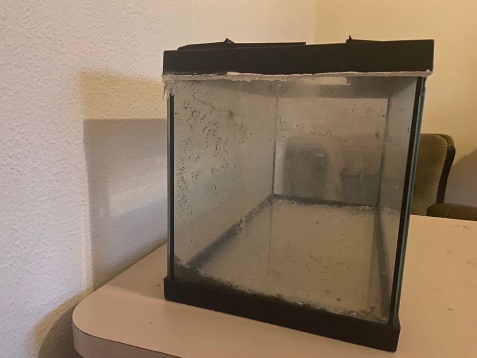 2 aquarios 40cm 30€ cada