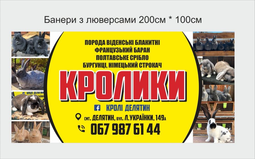 Корм для кроликів