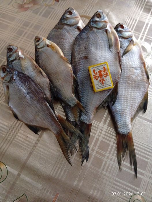 Продам в'ялену рыбу густера .