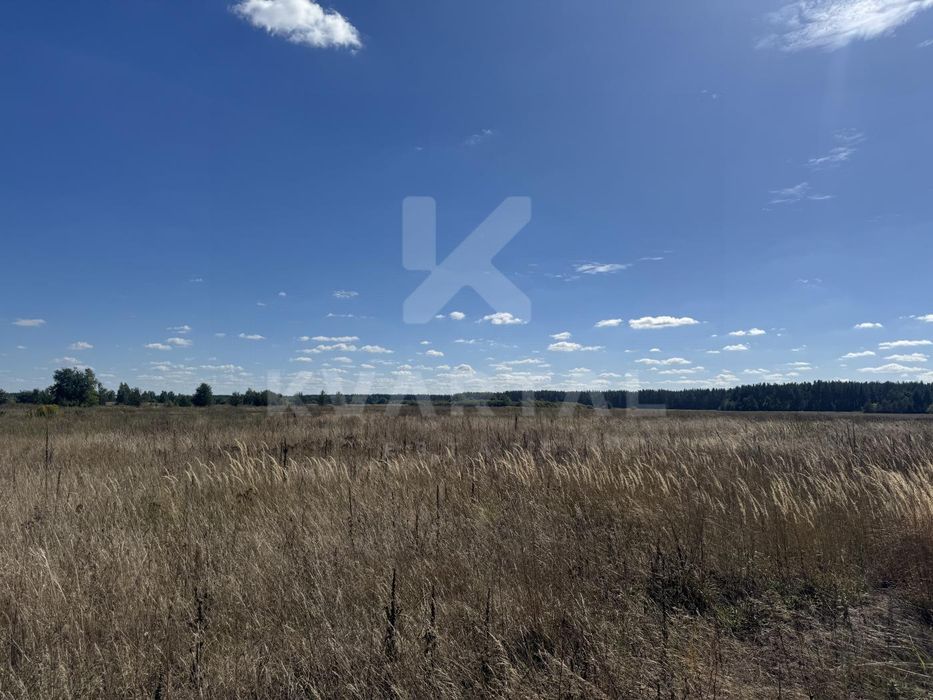 Земельна ділянка в с. Дружня, 15 соток. Вигідна пропозиція