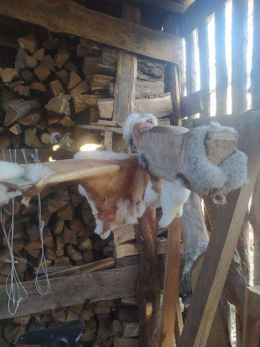 Продам кролячі шкури