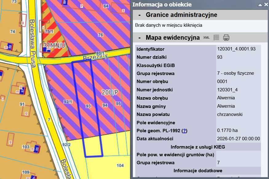 Działka przemysłowo usługowa - Alwerina