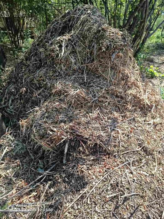 Продам тирсу фракція як на фото. Об'єми