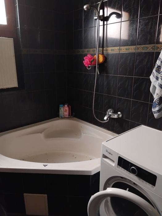 Продаю будинок у тихому куточку Свалява