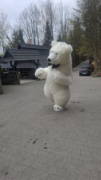 Biały miś atrakcje Wesela urodziny