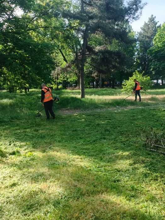 Уборка участка под ключ, покос травы, спил деревьев, корчевка пней.