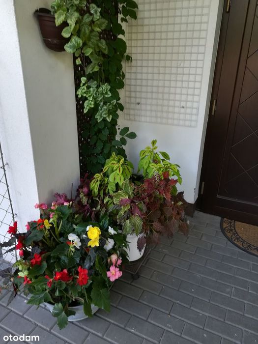 Gotowy do zamieszkania, mega wygodny dla rodziny, łatwy dojazd