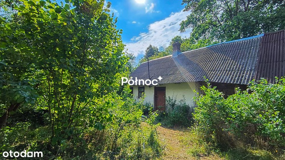 Siedlisko z sadem - Pojelce gm. Biała Podlaska - Widok 4
