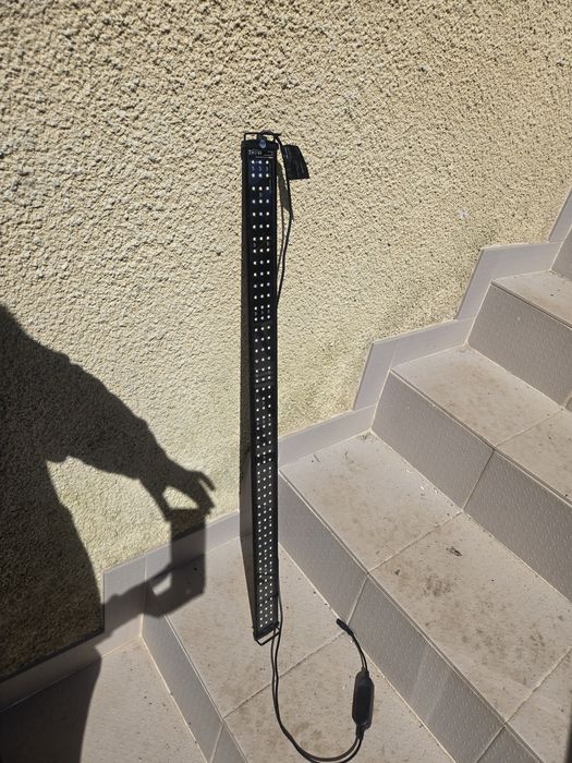 Aquario com acessorios