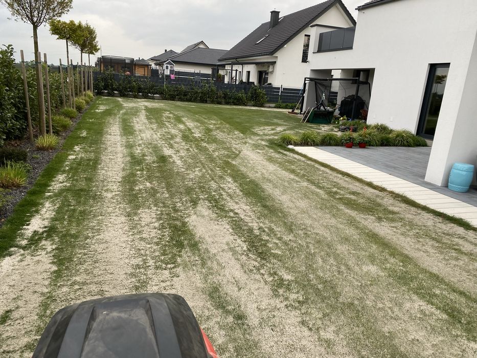 Aerator spalinowy_weibang_billy goat_camon_wertykulator spalinowy_usluga pielęgnacji trawnika