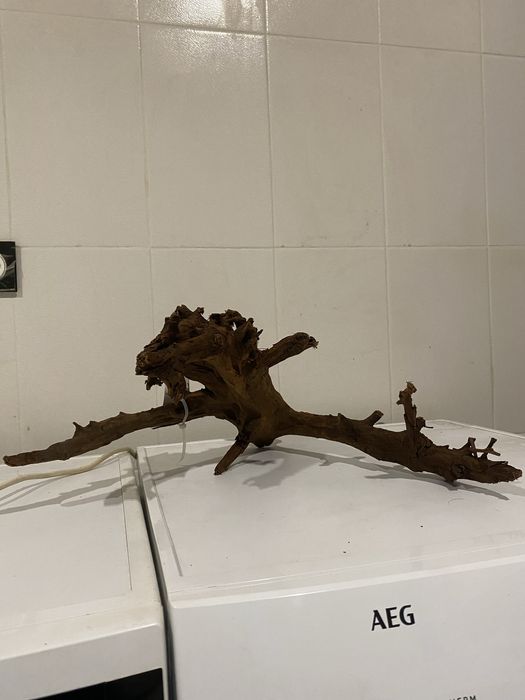 Коряга корч корень Мангровое дерево Малайзия