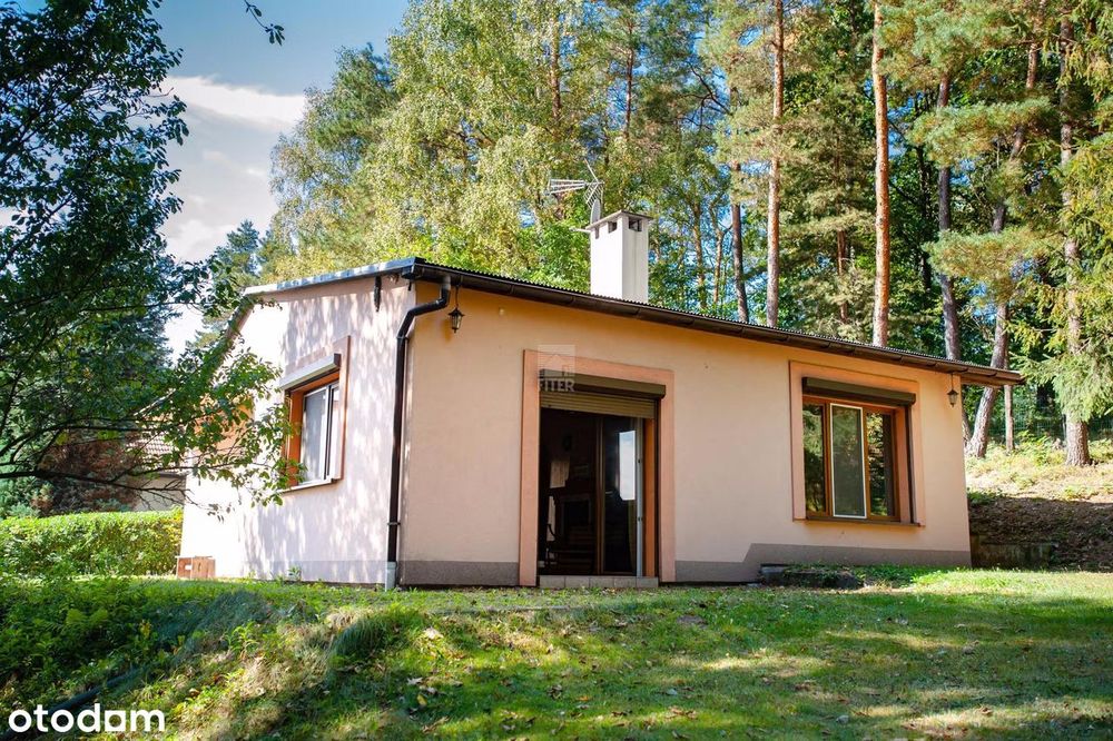 100 m2 dom w lesie...