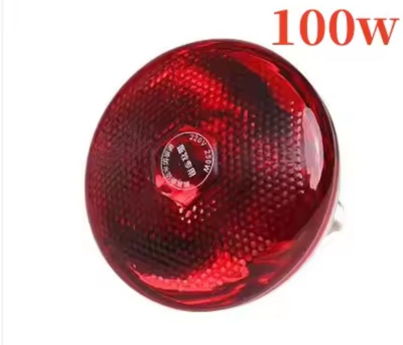 Lâmpada (grande) de Aquecimento 100W