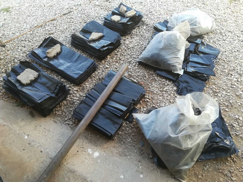 Sacos para plantas de várias medidas novos.