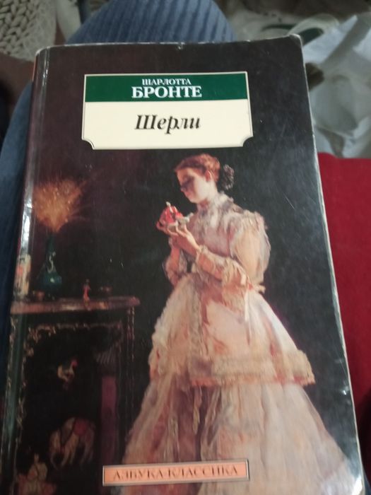 Ш. Бронте. Школы Бронте