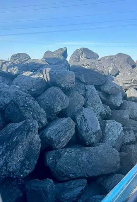 Polski Węgiel– miał 699 zł/t | Groszek, Orzech, Kostka -zapytaj o cenę