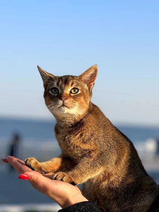 Шикарный ,нежный и ласковый мальчик