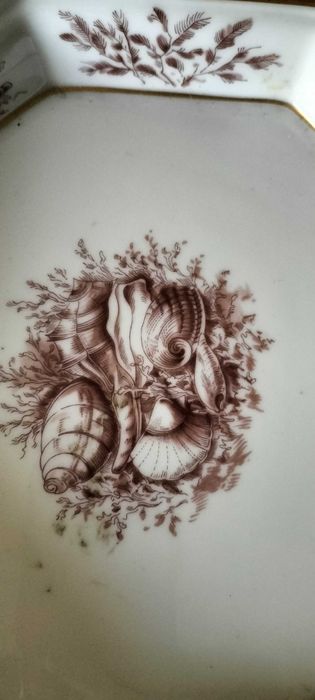 Covilhete Vista Alegre