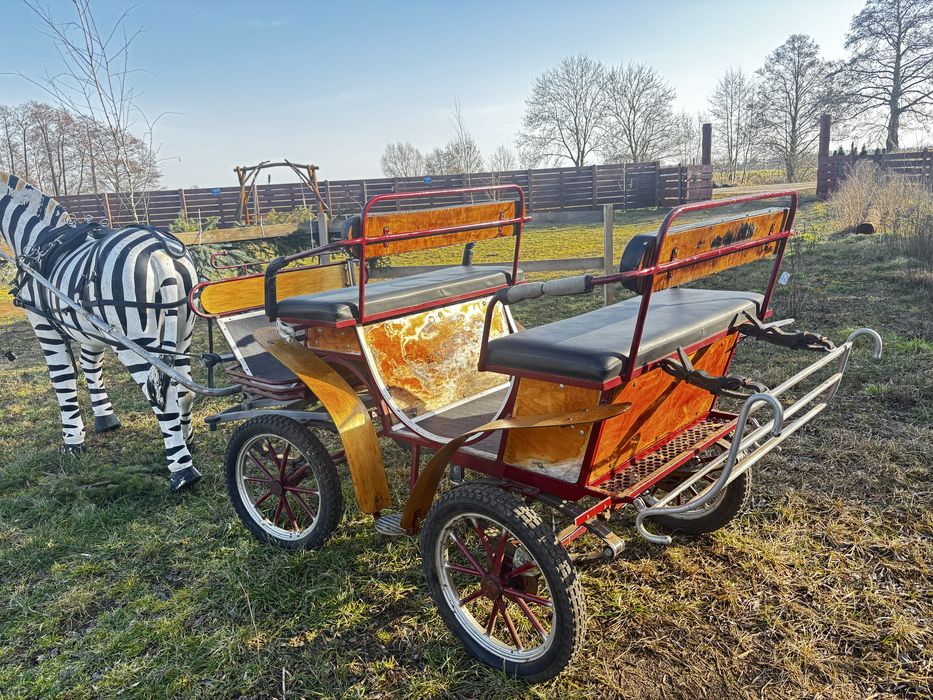 Aktualne! Bryczka dla kucy malych koni