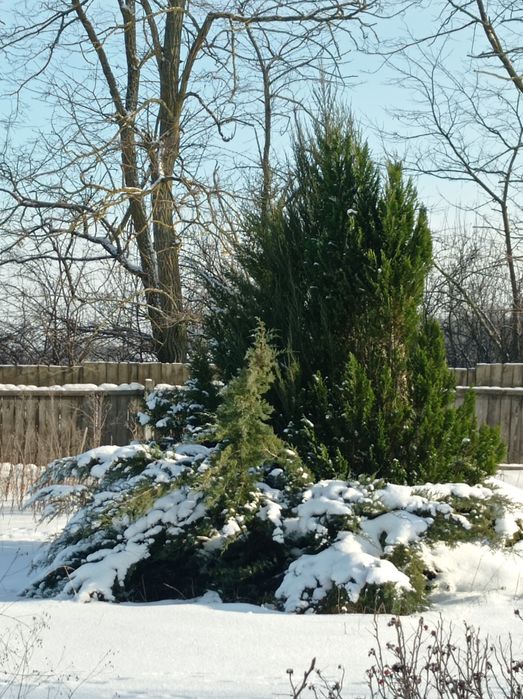 Новий будинок в 30км від Чернігова. Є-ВІДНОВЛЕННЯ.