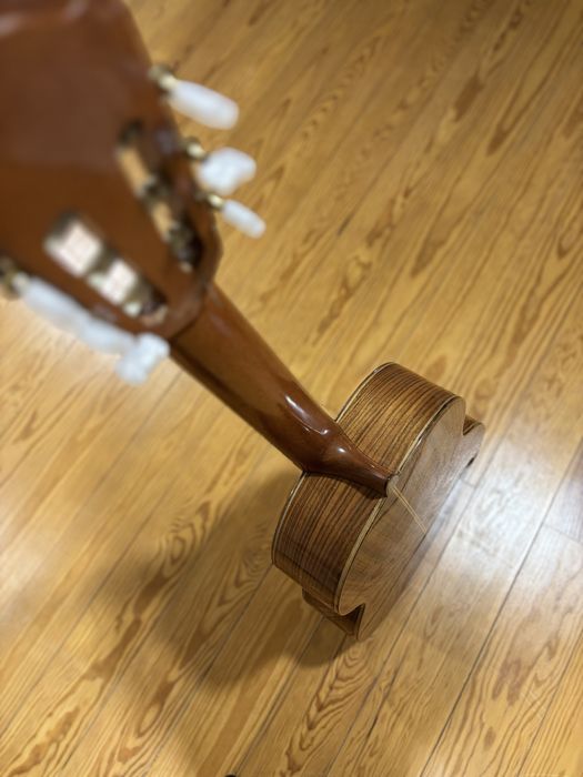 Viola classica Giannini