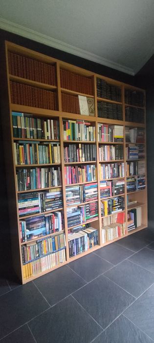 Móvel armário para livros