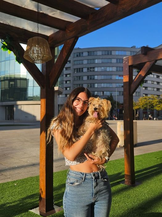 Enf. Vet. | Treino canino e comportamental