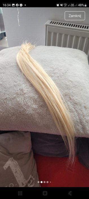 Włosy naturalne na ringi 45/50cm