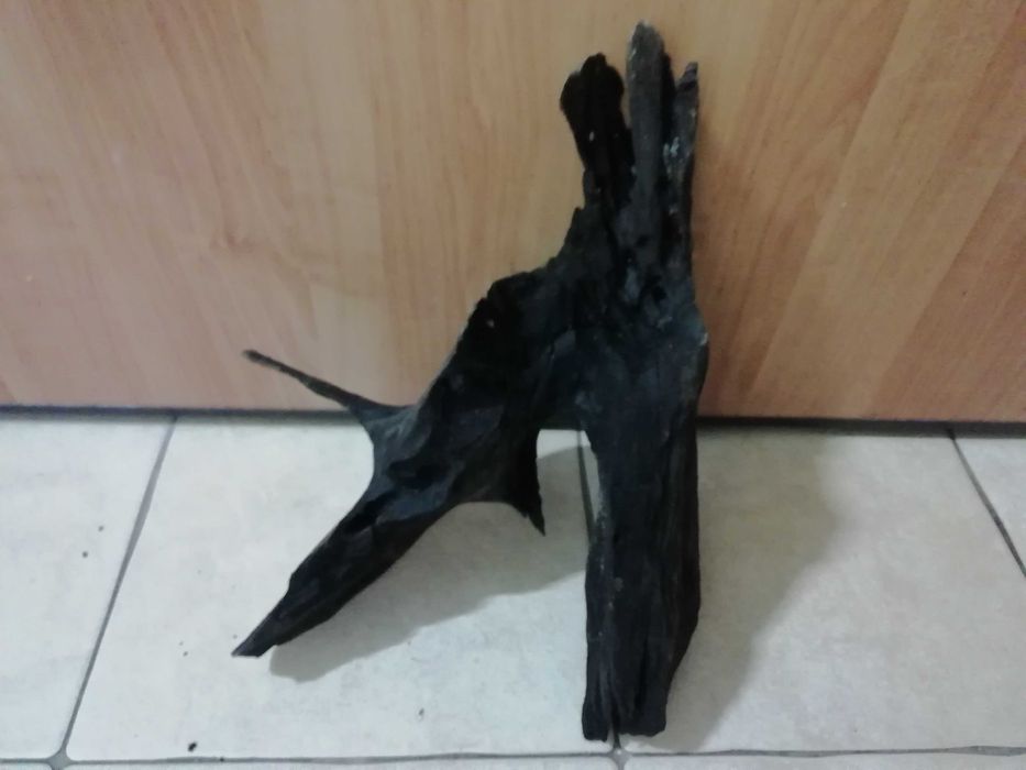 tonący korzeń o wymiarach 40x35x17