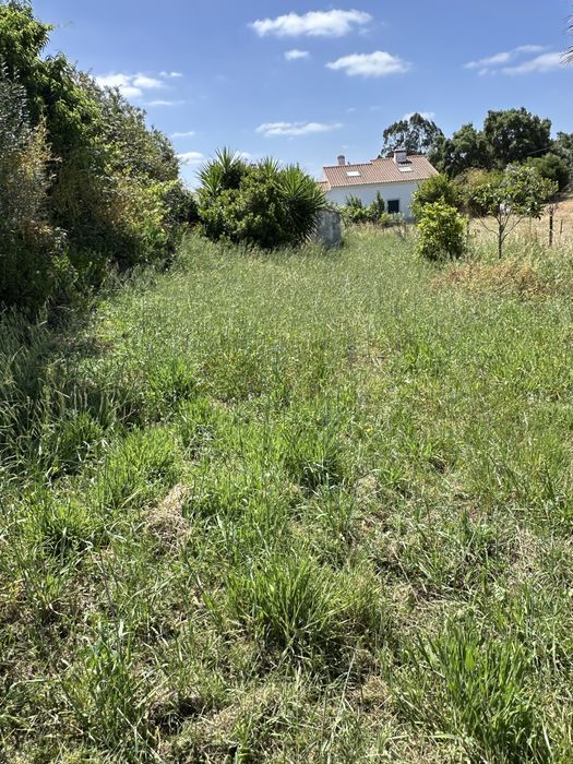 Limpeza de Terrenos e Quintas | O Moço do Laré