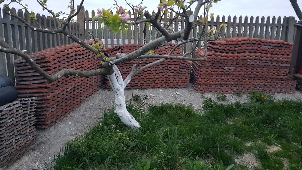 Dachówka ceramiczna, stara, bardzo dobry stan