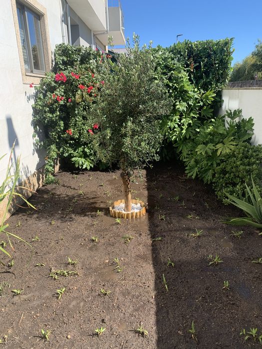 Servicos de jardinagem