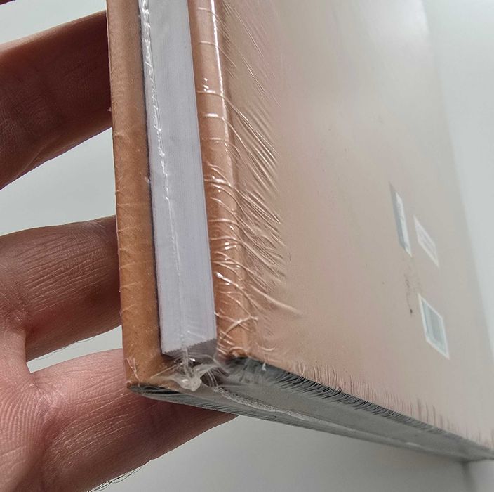 Livro de capa dura de pintura Angel Ferrant
