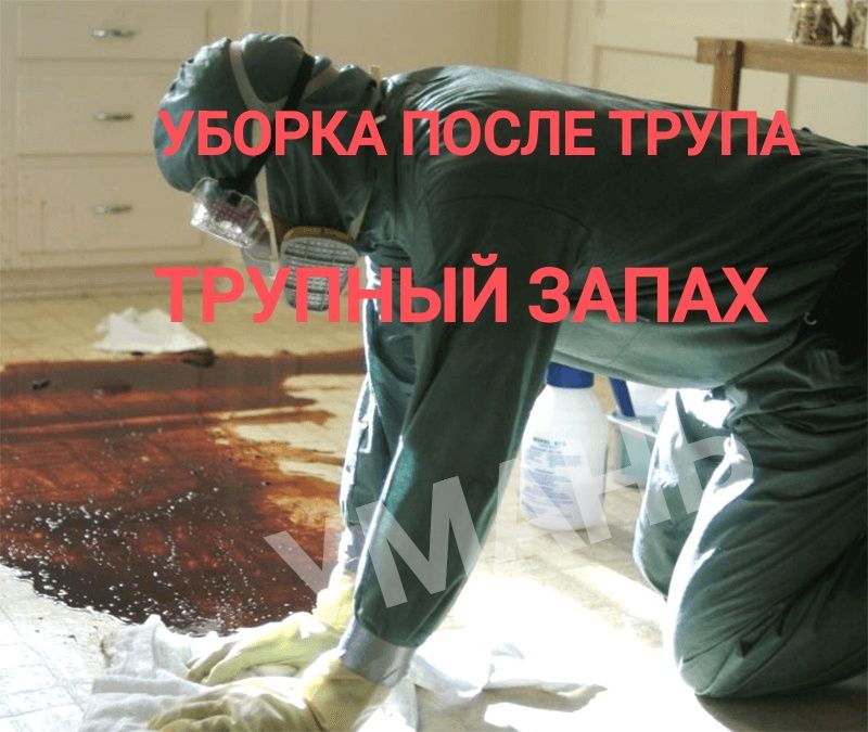 ‼️ТРУПНЫЙ ЗАПАХ Уборка квартир после ТРУПА  Прибирання після Смерті
