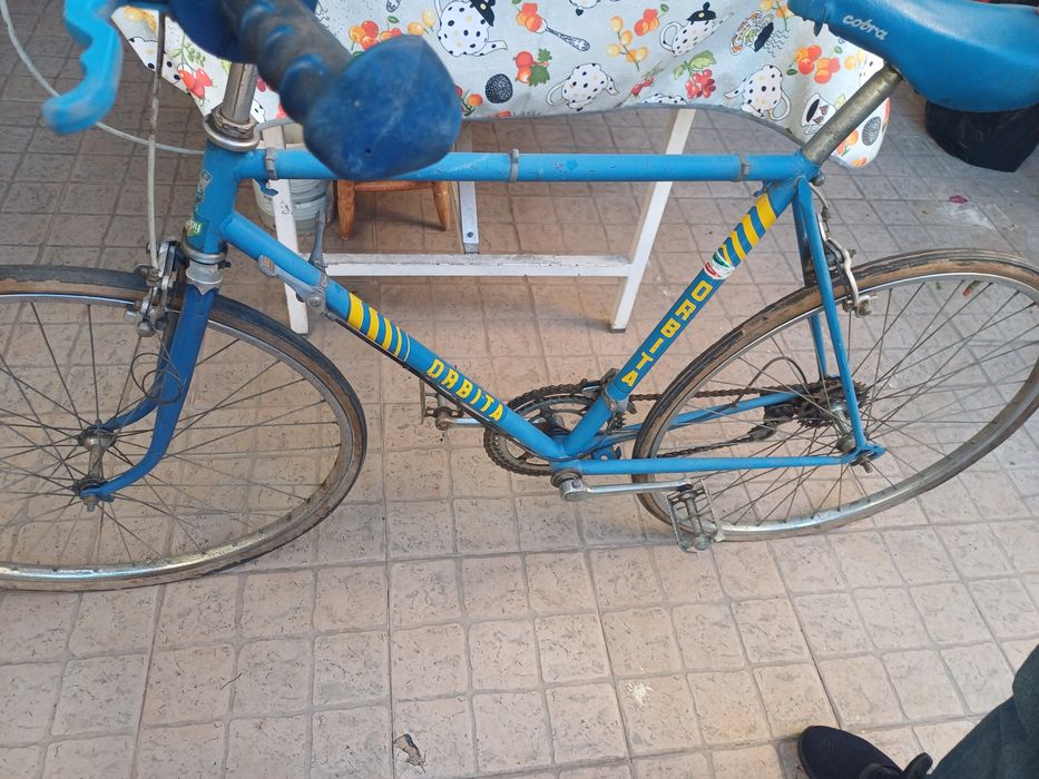 Bicicleta adulto