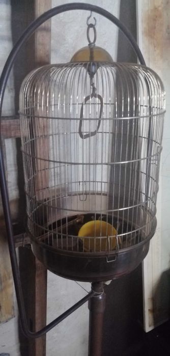 Gaiola de pé para pássaros.