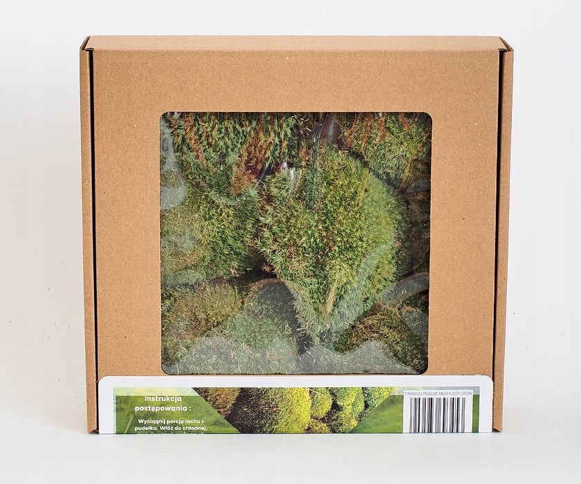 Terrarium Treasure ŻYWY MECH Kulisty Poduszkowy do terrarium 13x13,5x4