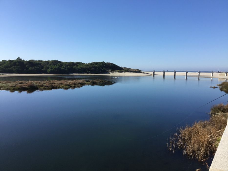 Férias à beira-mar, em Vila Praia de Âncora.