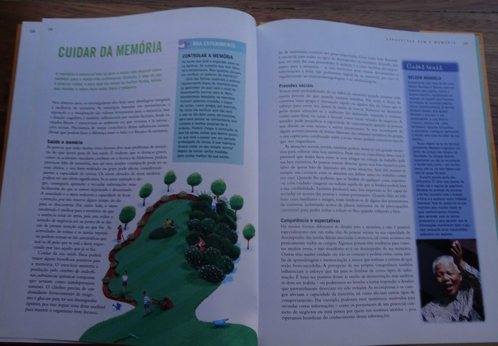 Uma Boa Memória (O Poder do Cérebro)