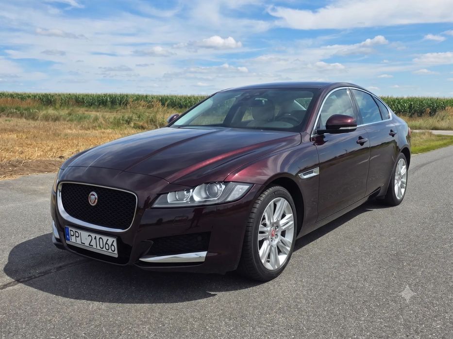 Jaguar XF Prestige | Salon PL | Tylko 95 tys. km | Zjawiskowy Kolor