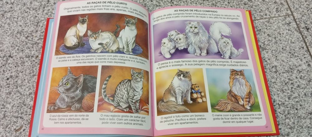 Livro dicionário por imagens