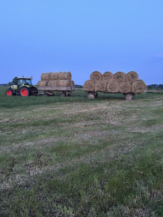 Siano i sianokiszonka