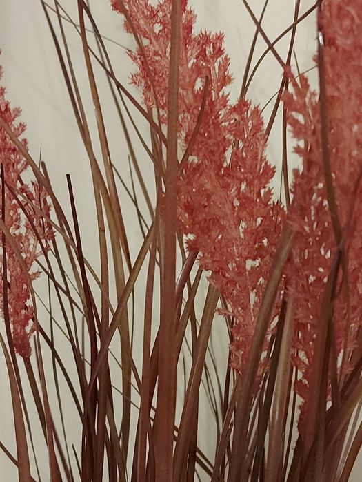 Рослина трава пампасна очерет штучна 90 см