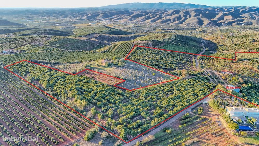 Pomar Produtivo 10 ha com Infraestruturas Premium