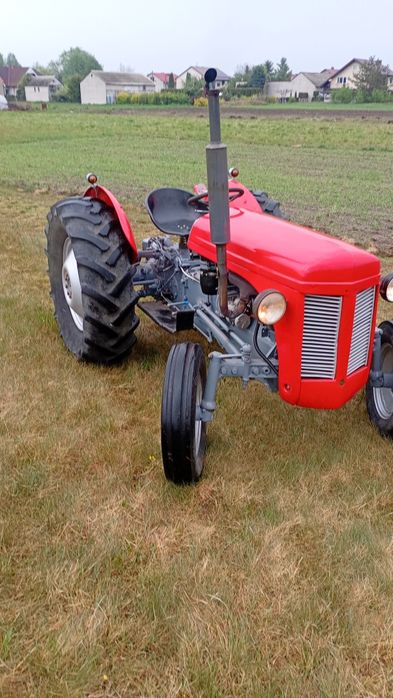 Massey Ferguson tea 30